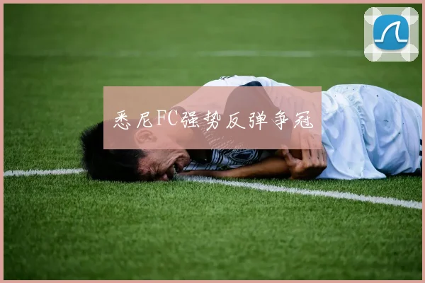 悉尼FC强势反弹争冠