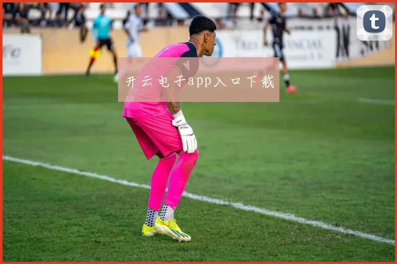 开云电子app入口下载