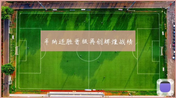 辛纳连胜晋级再创辉煌战绩