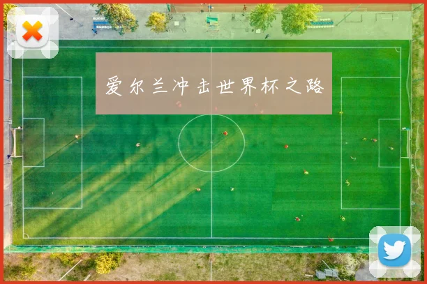 爱尔兰冲击世界杯之路