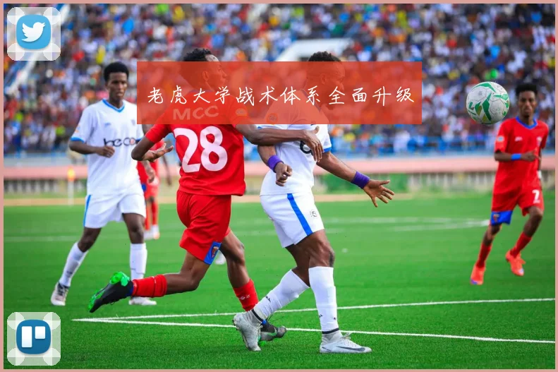 老虎大学战术体系全面升级