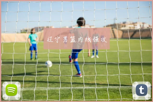 辽宁男篮内线强攻