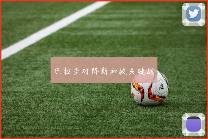 巴拉圭对阵新加坡关键战