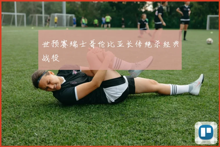 世预赛瑞士哥伦比亚长传绝杀经典战役