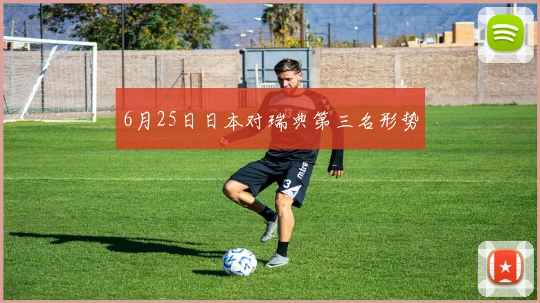 6月25日日本对瑞典第三名形势