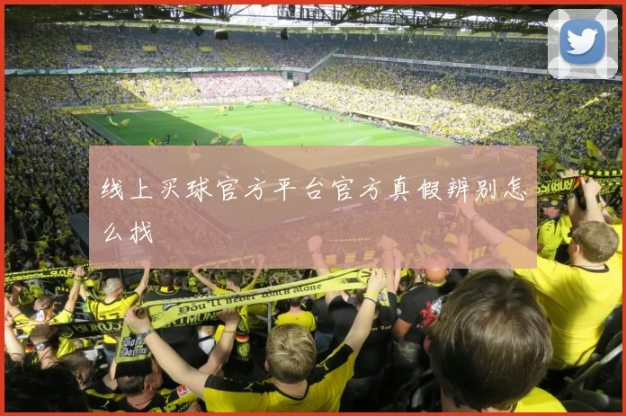 线上买球官方平台官方真假辨别怎么找